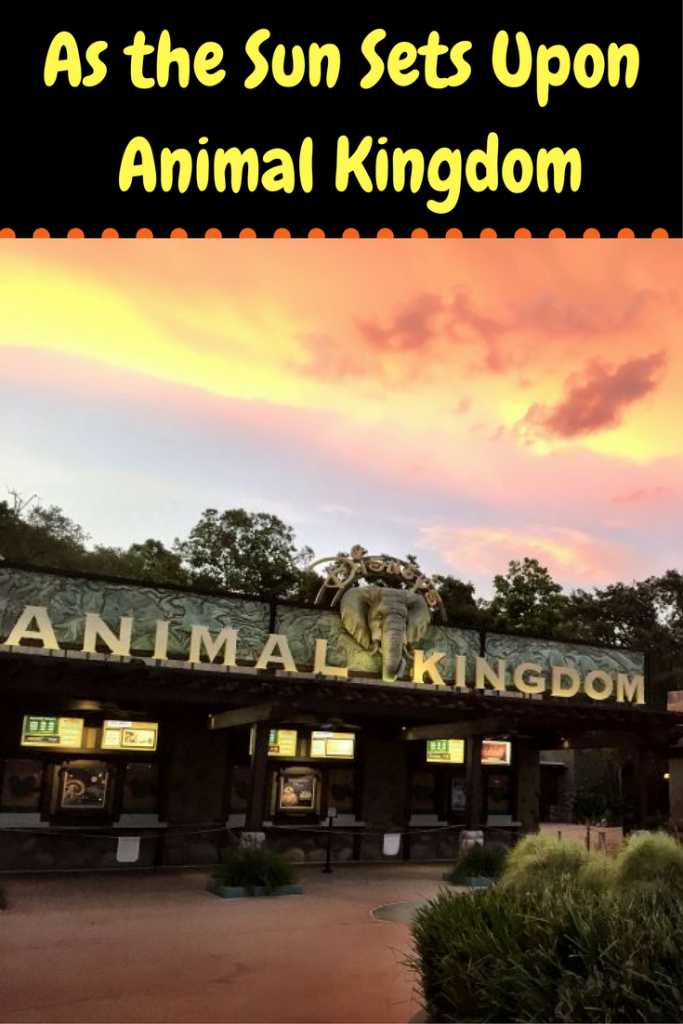 As the Sun Sets Upon Animal Kingdom