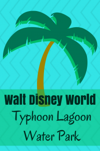 Miss Adventure Falls Now Open at Disney’s Typhoon Lagoon Water Park
